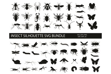 Download Free Insects Silhouettes SVG Bundle Creativefabrica
